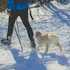 The benefits of Nordic walking in winter